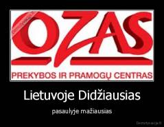 Lietuvoje Didžiausias - pasaulyje mažiausias