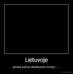 Lietuvoje - gimsta pačios idealiausios mintys . . .