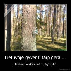 Lietuvoje gyventi taip gerai... - ...kad net medžiai ant adatų "sėdi"...