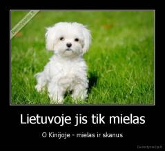 Lietuvoje jis tik mielas - O Kinijoje - mielas ir skanus