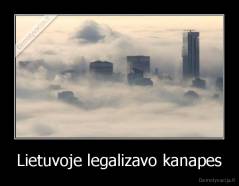 Lietuvoje legalizavo kanapes - 
