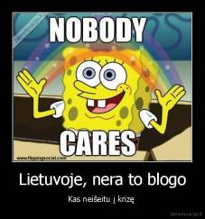 Lietuvoje, nera to blogo - Kas neišeitu į krizę 