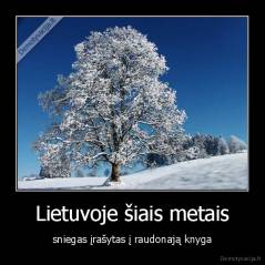 Lietuvoje šiais metais - sniegas įrašytas į raudonają knyga