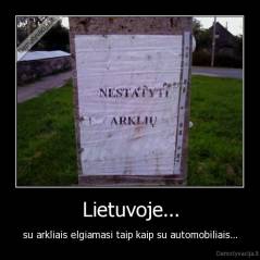 Lietuvoje... - su arkliais elgiamasi taip kaip su automobiliais...