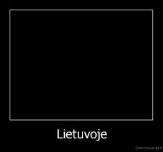 Lietuvoje - 