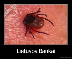 Lietuvos Bankai - 
