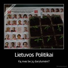 Lietuvos Politikai - Ką mes be jų darytumėm?