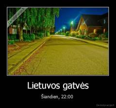 Lietuvos gatvės - Šiandien, 22:00 