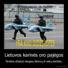 Lietuvos karinės oro pajėgos - Tereikia užsakyti daugiau lėktuvų iš vaikų darželio.
