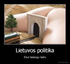 Lietuvos politika - Eina teisingu keliu