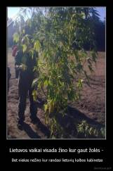 Lietuvos vaikai visada žino kur gaut žolės - -   Bet niekas nežino kur randasi lietuvių kalbos kabinetas