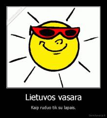 Lietuvos vasara - Kaip ruduo tik su lapais.