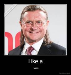 Like a - Boss