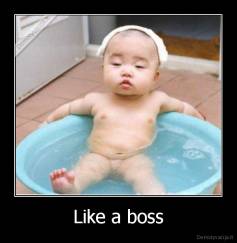 Like a boss - 