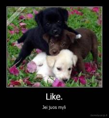 Like. - Jei juos myli