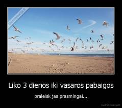 Liko 3 dienos iki vasaros pabaigos - praleisk jas prasmingai...