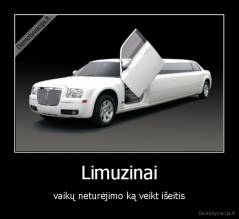 Limuzinai - vaikų neturėjimo ką veikt išeitis