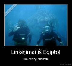 Linkėjimai iš Egipto! - Jūra tiesiog nuostabi.
