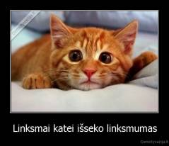 Linksmai katei išseko linksmumas - 