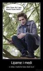 Lipame i medi - o veliau mastome kaip islipti is jo