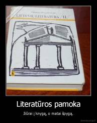 Literatūros pamoka - žiūrai į knygą, o matai špygą.