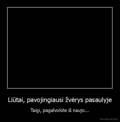 Liūtai, pavojingiausi žvėrys pasaulyje - Taigi, pagalvokite iš naujo...