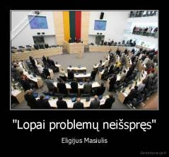 "Lopai problemų neišspręs" - Eligijus Masiulis