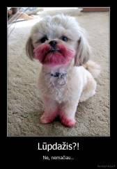 Lūpdažis?! - Ne, nemačiau..
