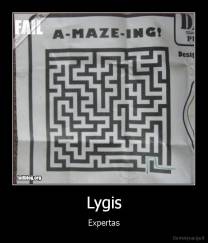 Lygis - Expertas