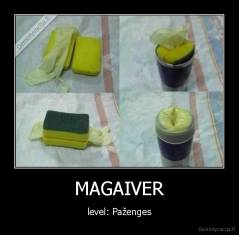 MAGAIVER - level: Paženges