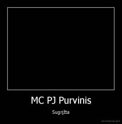MC PJ Purvinis - Sugrįžta