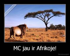 MC jau ir Afrikoje! - 