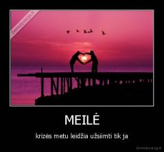 MEILĖ - krizės metu leidžia užsiimti tik ja