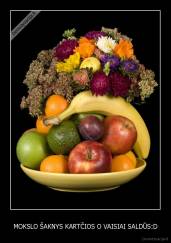 MOKSLO ŠAKNYS KARTČIOS O VAISIAI SALDŪS:D - 