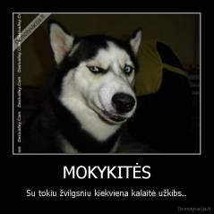 MOKYKITĖS - Su tokiu žvilgsniu kiekviena kalaitė užkibs..
