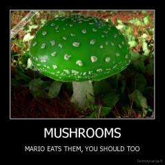 MUSHROOMS - MARIO EATS THEM, YOU SHOULD TOO