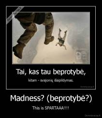 Madness? (beprotybė?) - This is SPARTAAA!!!!