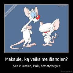 Makaule, ką veiksime šiandien? - Kaip ir kasdien, Pinki, demotyvacija.lt