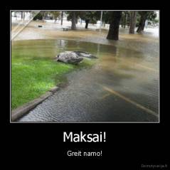 Maksai! - Greit namo!