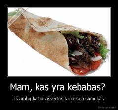 Mam, kas yra kebabas?  - Iš arabų kalbos išvertus tai reiškia šuniukas