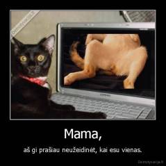 Mama, - aš gi prašiau neužeidinėt, kai esu vienas.