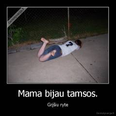 Mama bijau tamsos. - Grįšiu ryte