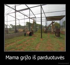 Mama grįžo iš parduotuvės - 