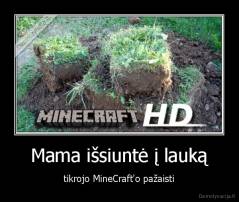 Mama išsiuntė į lauką - tikrojo MineCraft'o pažaisti