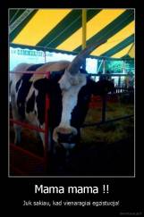 Mama mama !! - Juk sakiau, kad vienaragiai egzistuoja!