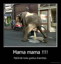 Mama mama !!!! - Pažiūrėk koks gražus dramblys 