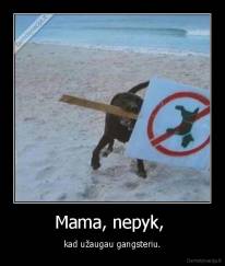 Mama, nepyk,  - kad užaugau gangsteriu.