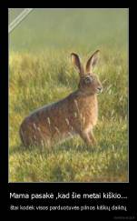 Mama pasakė ,kad šie metai kiškio... - štai kodėk visos parduotuvės pilnos kiškių daiktų