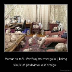 Mama: su tėčiu išvažiuojam savatgaliui į kaimą - sūnus: aš pasikviesiu kelis draugu...