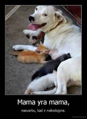 Mama yra mama, - nesvarbu, kad ir nebiologinė.